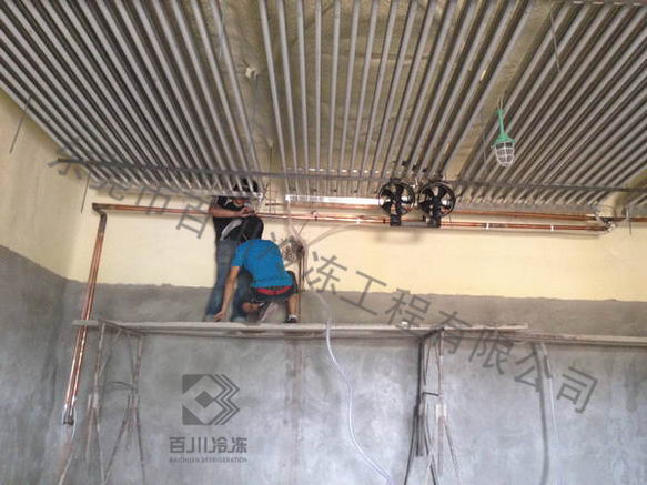 羅定大新市場凍肉冷庫